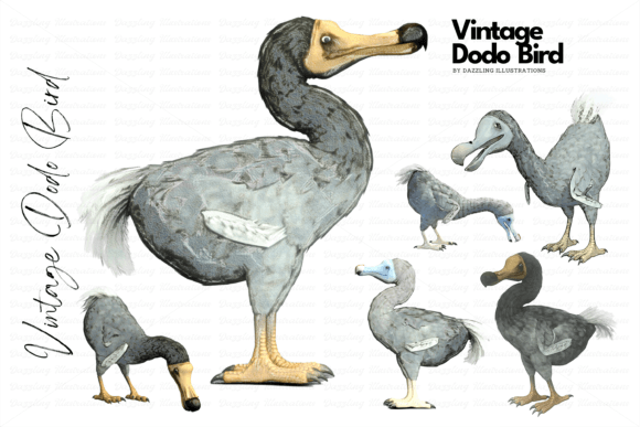 Download Extinct Dodo Vintage-Style Illustrations - Illustration Collection