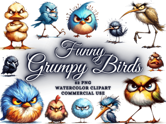 Download Funny Grumpy Bird Clipart Funny Bird Png - Bird Collection