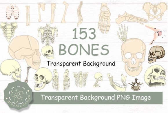 Download Bones Clipart PNG Transparent Background - Png transparent background Collection